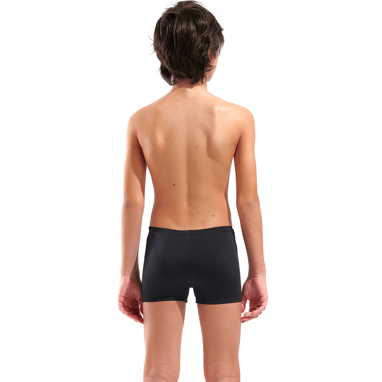Плавки-шорты Arena POSEIDONIA SWIM SHORT photo 2