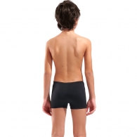Плавки-шорты Arena POSEIDONIA SWIM SHORT thumbnav 2