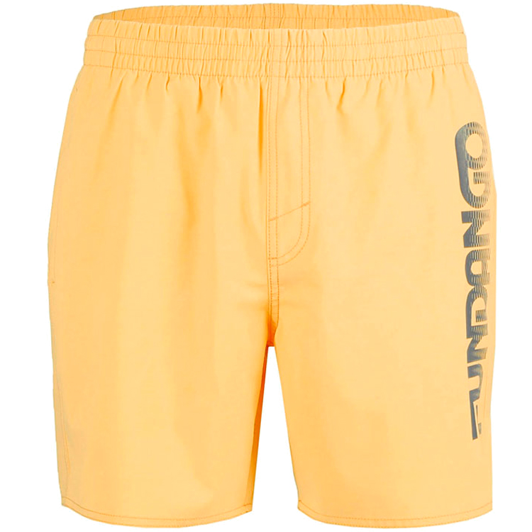 Шорты для плавания Fundango Bono Beach Shorts/Желтый photo 2