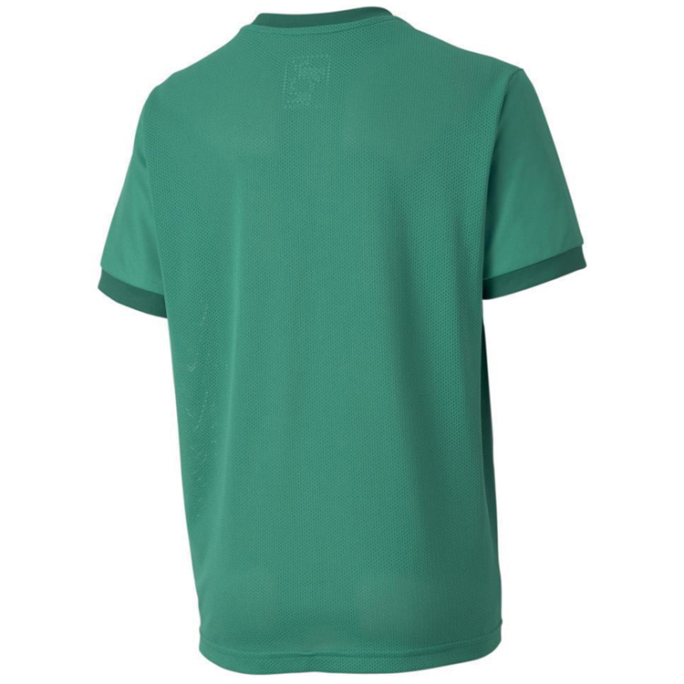 Футболка Puma teamGOAL 23 Jersey jr photo 2