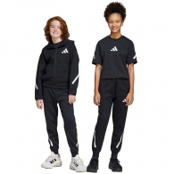 Брюки Adidas J Z.N.E. PT thumbnav 1