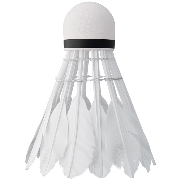 Fluturasi p/u badminton NILS Nils 6 photo 3