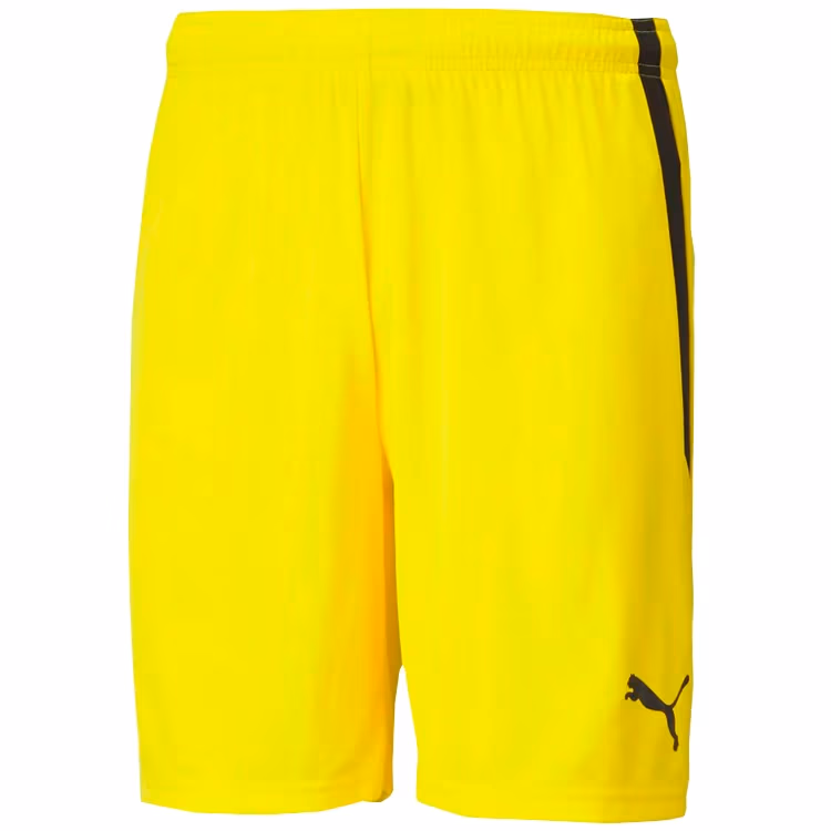 Sorti Puma teamLIGA Shorts Cyber 