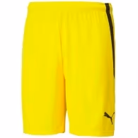 Шорты Puma teamLIGA Shorts Cyber