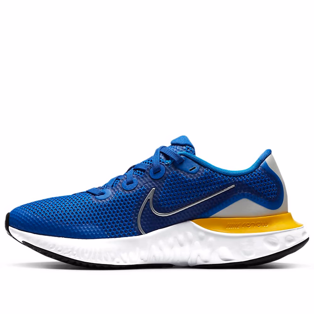 Кроссовки Nike RENEW RUN (GS)