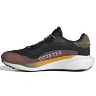 Кроссовки Adidas SUPERNOVA 3 GTX thumbnav