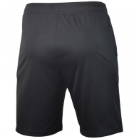 Шорты Mizuno Nara Trainng Short thumbnav 2