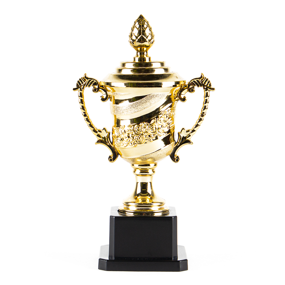 Cupe HAOYUNQI Gold Cup photo 