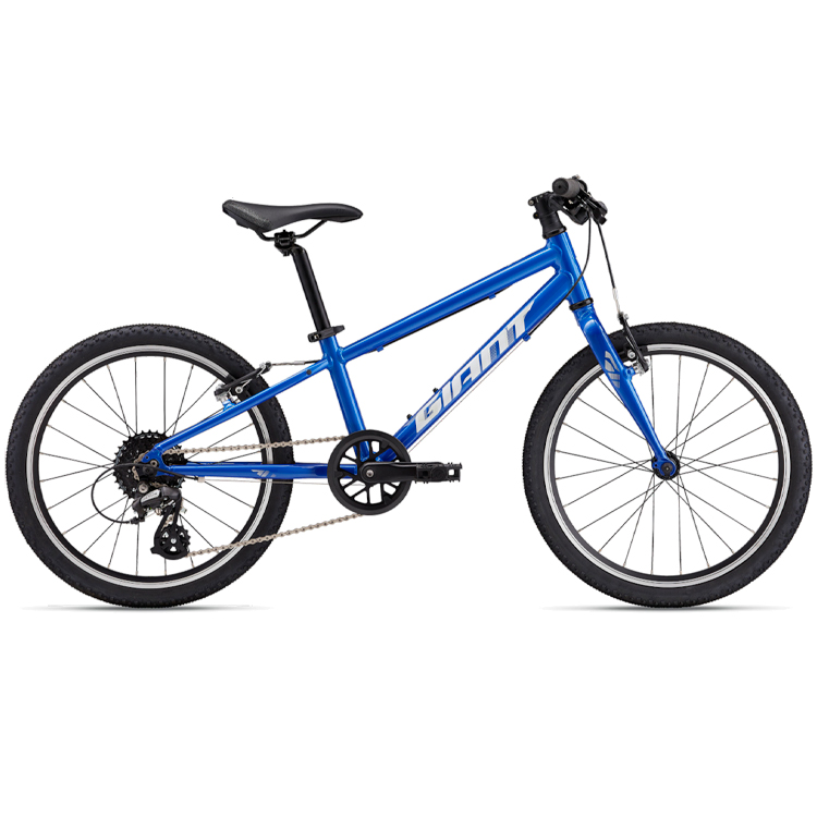 Велосипед детский Giant ARX 20 photo Велосипед детский Giant ARX 20 photo