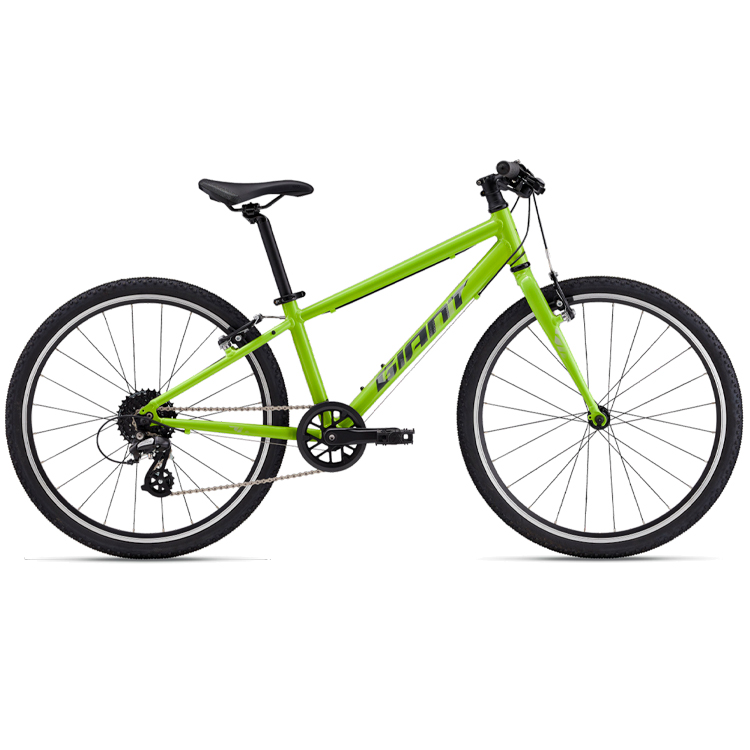 Bicicleta pentru copii Giant ARX 24 photo Bicicleta pentru copii Giant ARX 24 photo