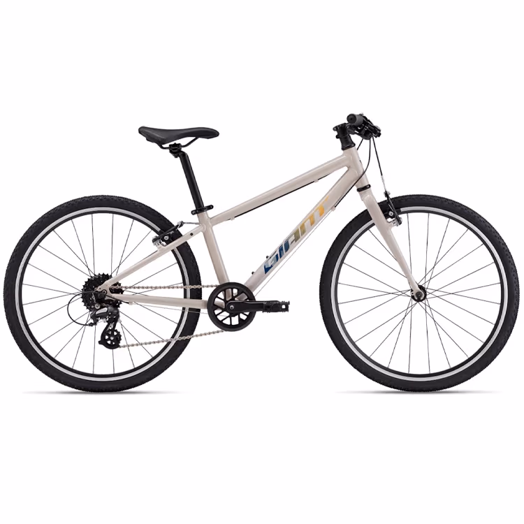 Bicicleta pentru copii Giant ARX 24