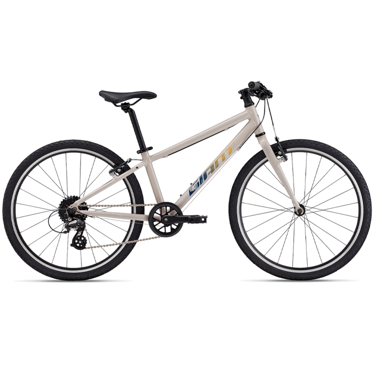 Bicicleta pentru copii Giant ARX 24 photo Bicicleta pentru copii Giant ARX 24 photo