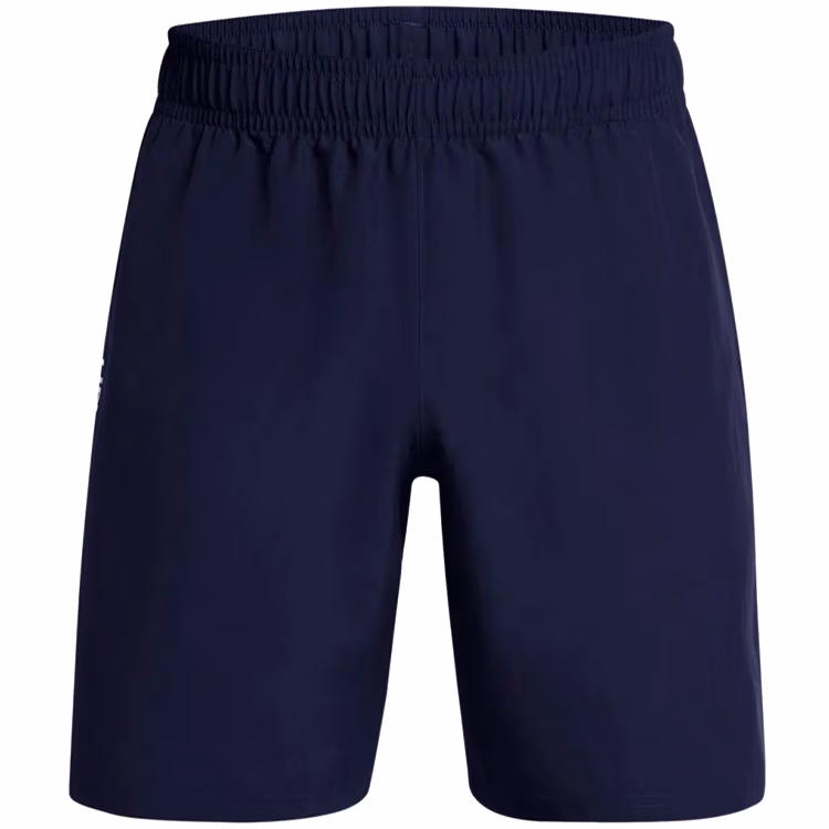 Шорты Under Armour UA Tech Woven Wordmark Short