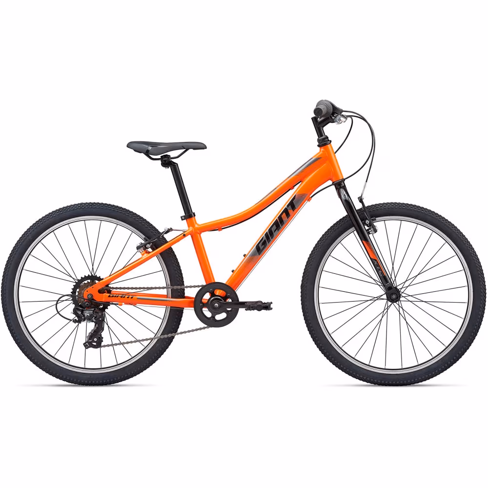 Bicicleta pentru copii Giant XtC Jr Lite