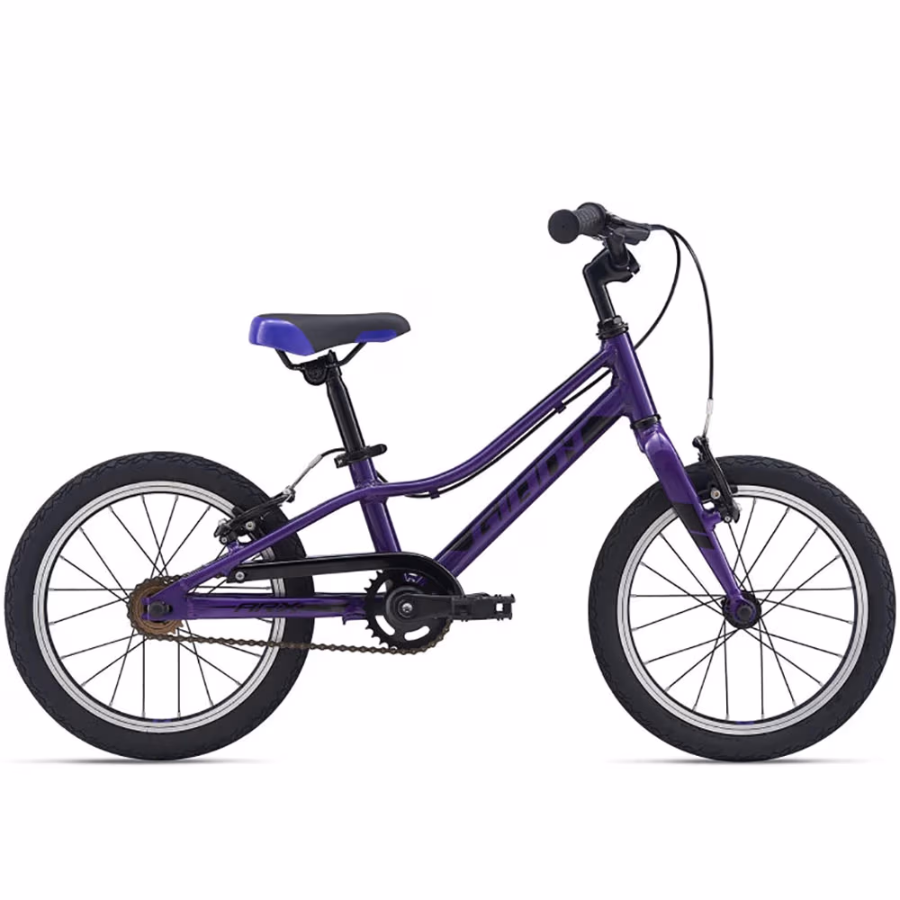 Bicicleta pentru copii Giant ARX F/W