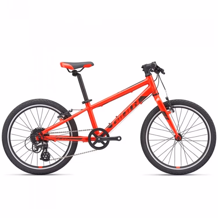 Bicicleta pentru copii Giant ARX
