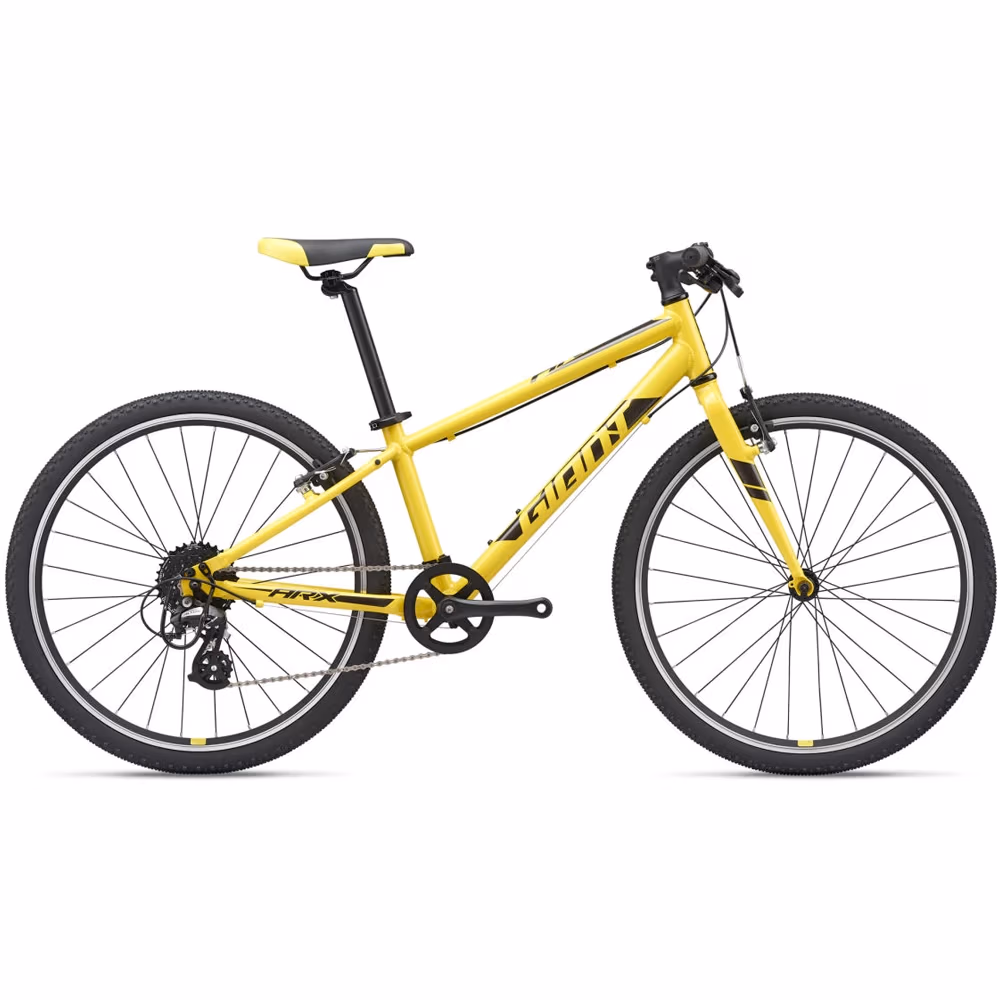Bicicleta pentru copii Giant ARX