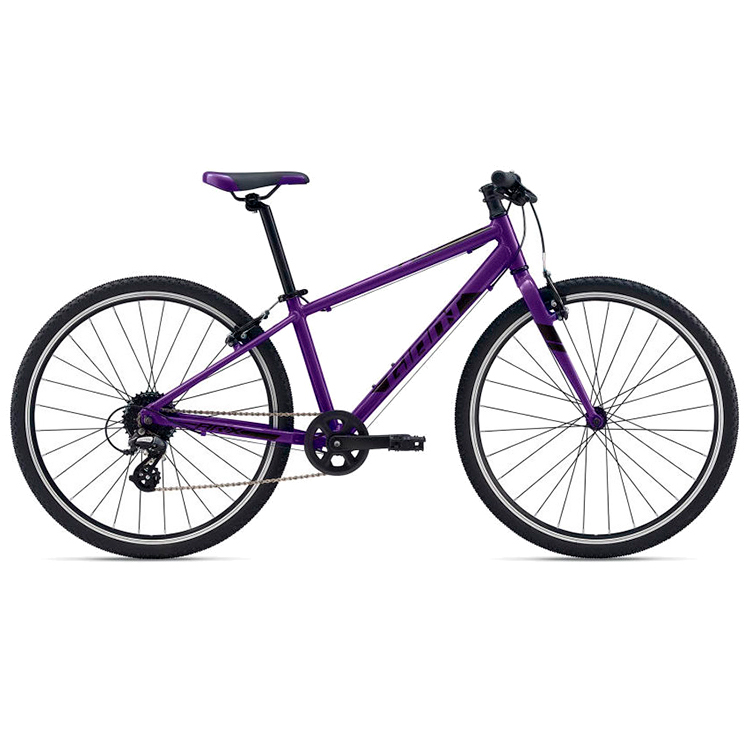 Bicicleta pentru copii Giant ARX photo Bicicleta pentru copii Giant ARX photo