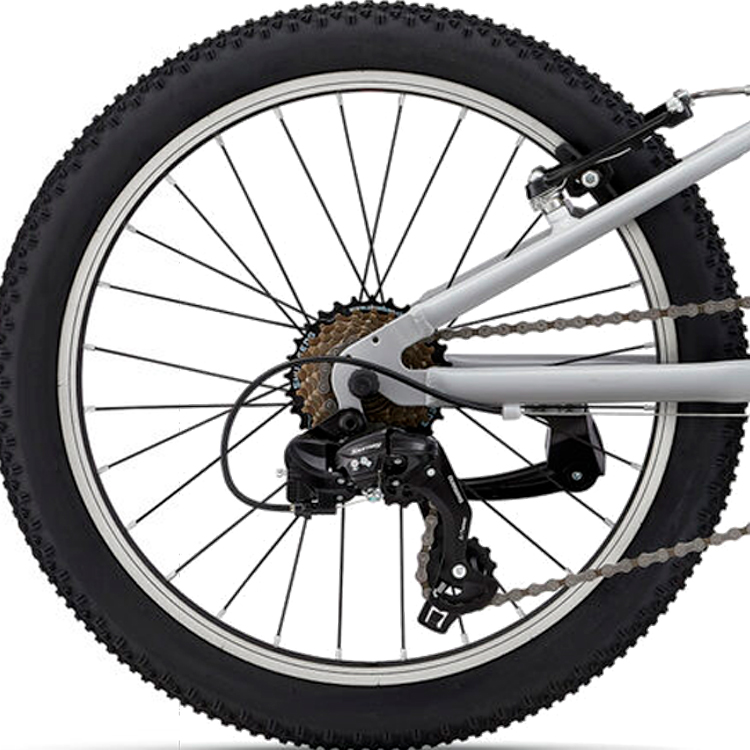 Bicicleta pentru copii Giant XtC Jr 20 / Gri / 1x7 photo 3