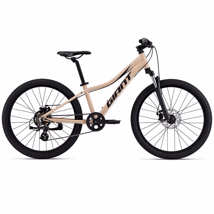Bicicleta pentru copii Giant XtC Jr Disc 24