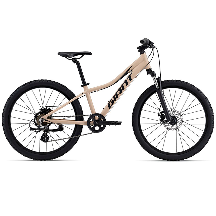 Bicicleta pentru copii Giant XtC Jr Disc 24 photo Bicicleta pentru copii Giant XtC Jr Disc 24 photo