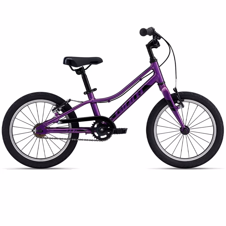 Bicileta pentru copii GIANT ARX 16 F/W