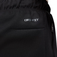 Брюки Nike M J DF AIR STMT FLC PANT thumbnav 4