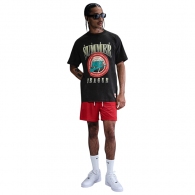 Футболка Nike M NK TEE M90 OC thumbnav 2