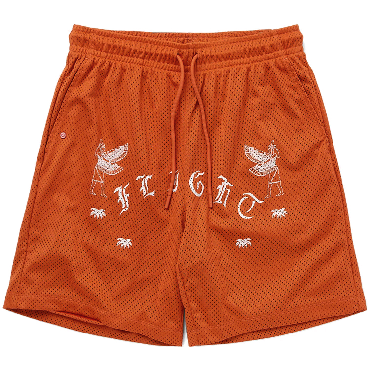 Sorti de bărbați Nike M J FLT ARTST SRS MESH SHORT M Oranj photo 1