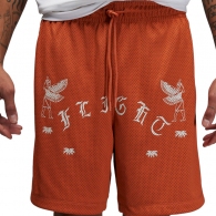 Sorti Nike M J FLT ARTST SRS MESH SHORT thumbnav 4