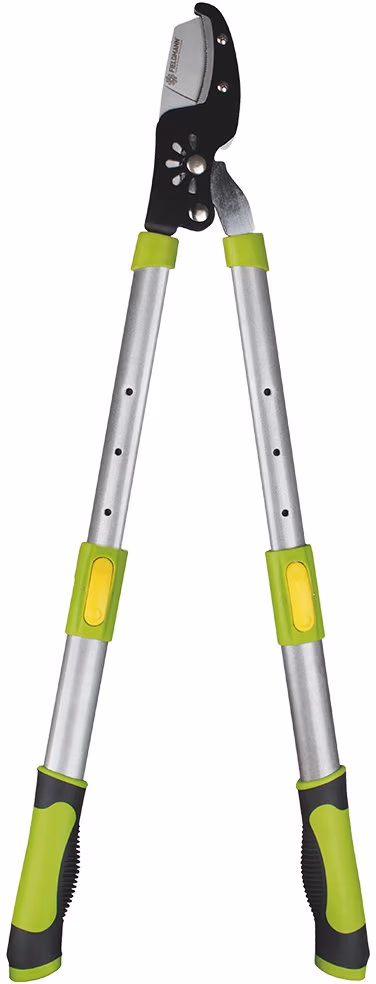 Foarfece de taiat telescopice Fieldmann FZNR1013 