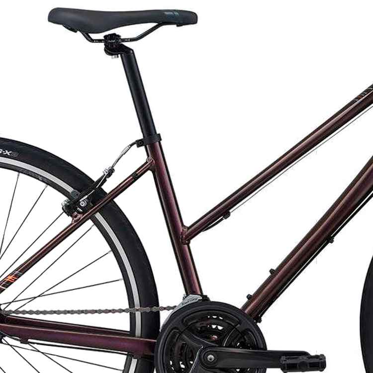 Bicicleta de oras Liv Alight 3 Bordo S photo 2