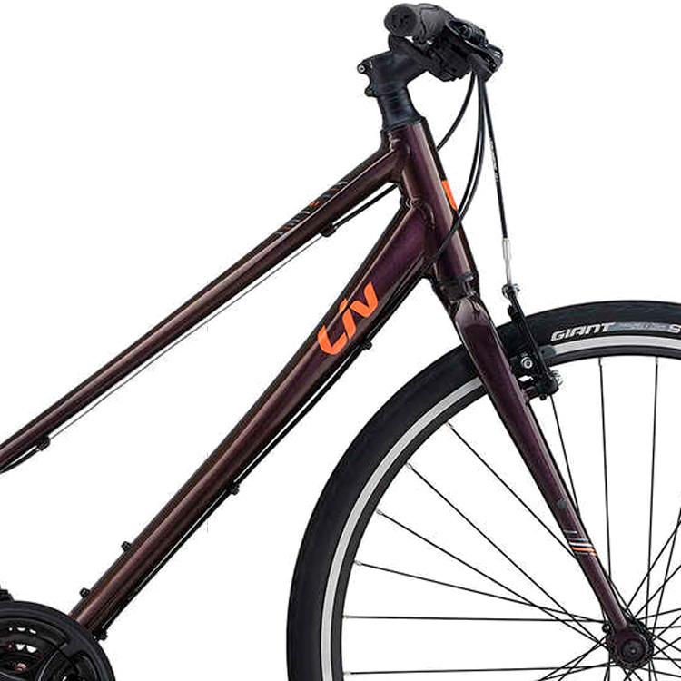 Bicicleta de oras Liv Alight 3 Bordo S photo 3