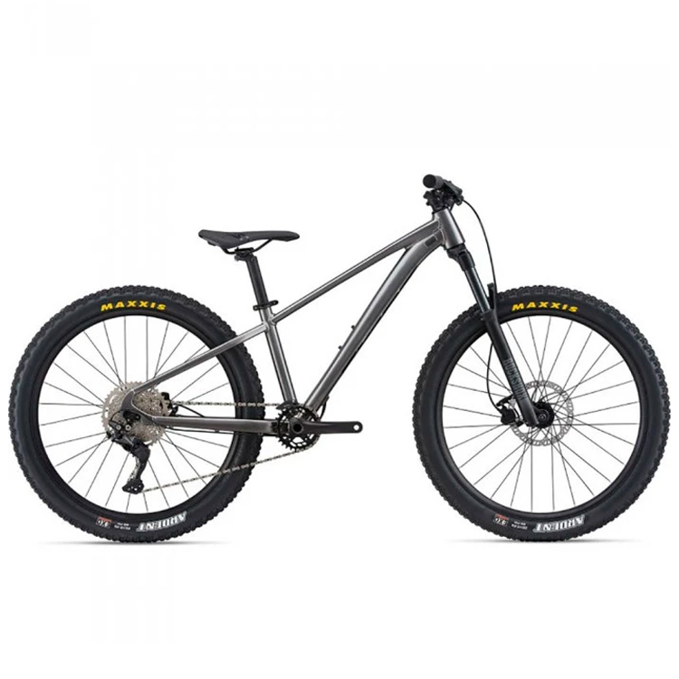 Bicicleta pentru copii Giant STP photo Bicicleta pentru copii Giant STP photo