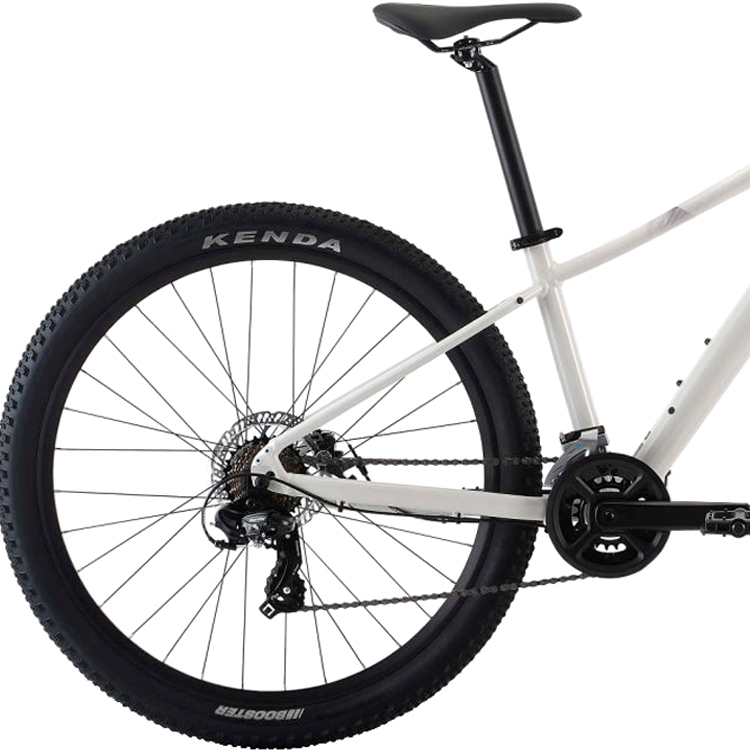 Bicicleta de munte Liv Tempt 5 Alb M photo 3