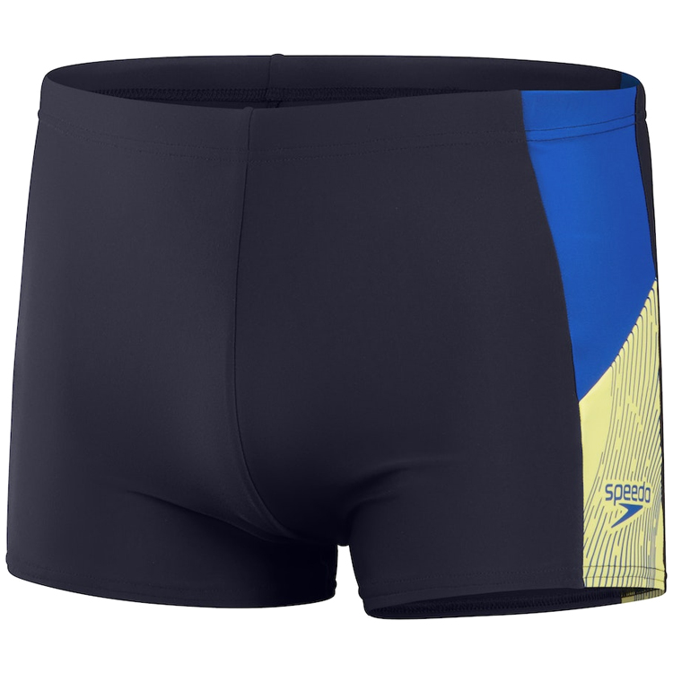 Плавки-шорты Speedo DIVE SPL ASHT AM/Черный photo 2