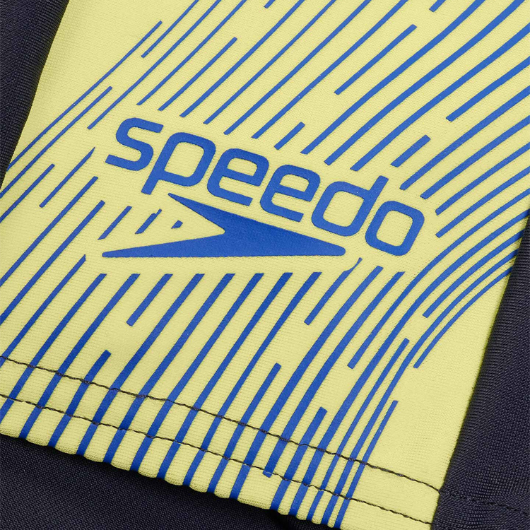 Плавки-шорты Speedo DIVE SPL ASHT AM/Черный photo 6