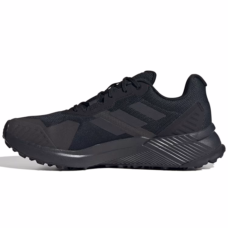 Incaltaminte Sport Adidas TERREX SOULSTRIDE R.RDY