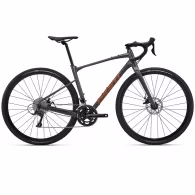 Bicicleta de pietris Giant Revolt 2