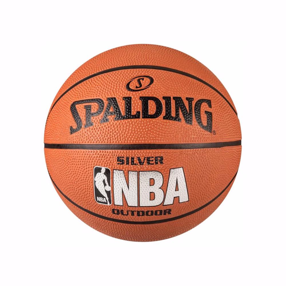 Minge basket Spalding NBA Silver