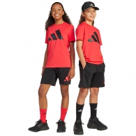 Set tricou + sorti Adidas J BL T-SET thumbnav 1
