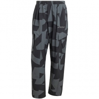 Брюки Adidas CARGO AOP PANTS thumbnav