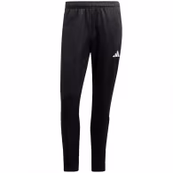 Брюки Adidas TIRO23 CB TRPNT