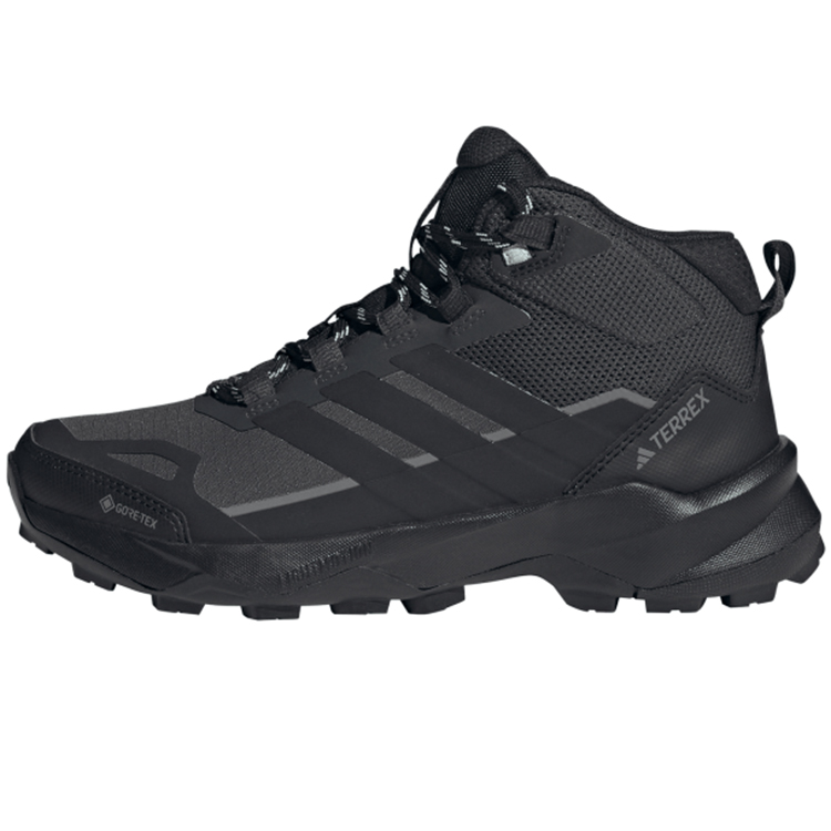 Ботинки Adidas TERREX SKYCHASER AX5 MID GTX W photo 