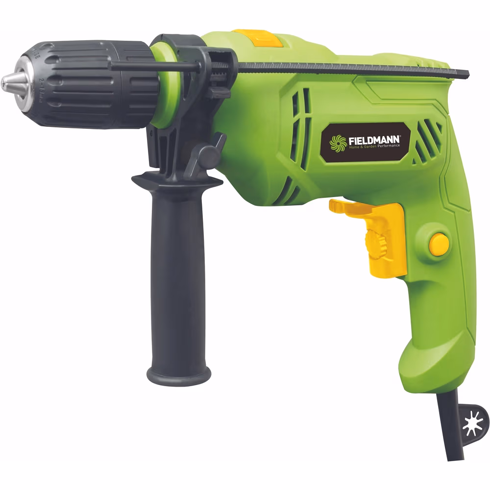 Masina de gaurit cu percutie Fieldmann FDV2004E 500W 