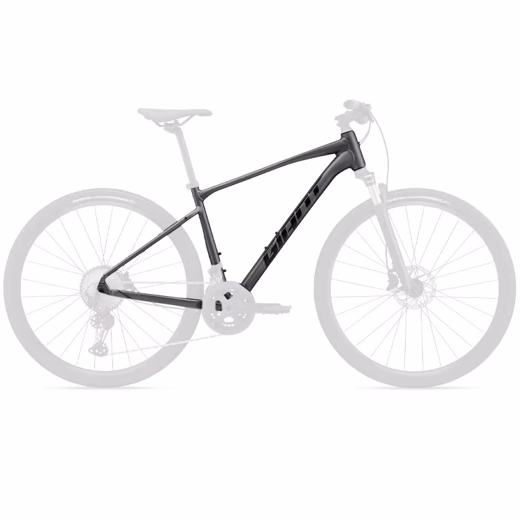Cadru Giant Roam 0 Disc frame