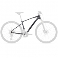 Cadru Giant Roam 0 Disc frame thumbnav