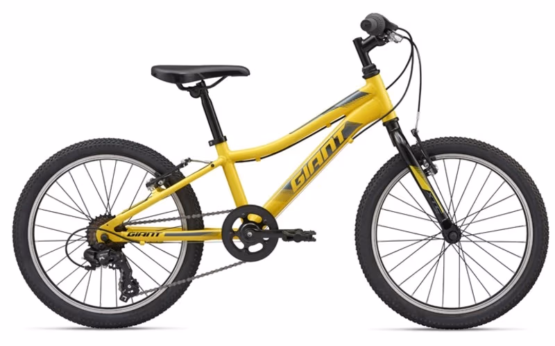 Bicicleta pentru copii Giant XTC