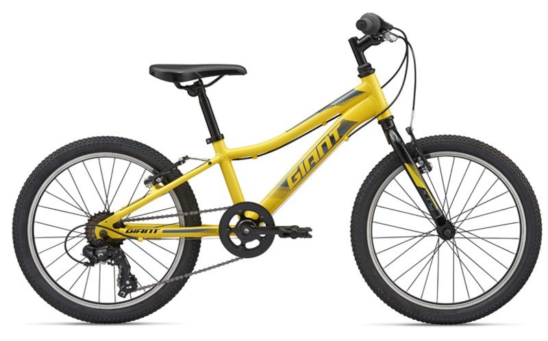 Bicicleta pentru copii Giant XTC photo 