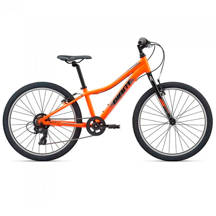 Bicicleta pentru copii Giant XTC photo Bicicleta pentru copii Giant XTC photo